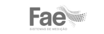 fae-logo-cinza